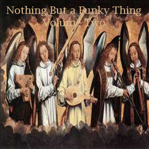 Nothing But A Funky Thing Volume Two